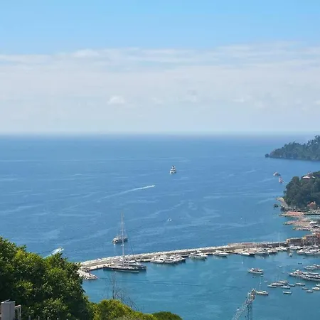 Andromeda Flexyrent Rapallo