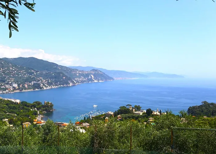 Andromeda Flexyrent *